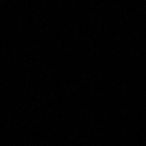 Meet your Posher, Carson